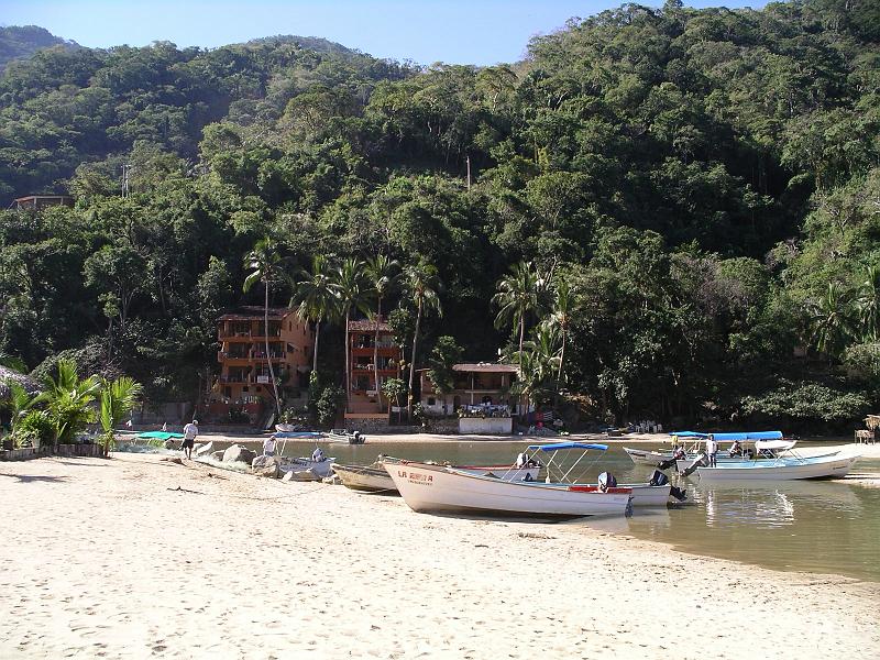 vallarta 131.jpg